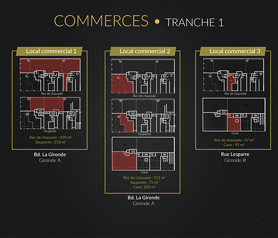 ocaux commerciaux - Chraibi Immobilier