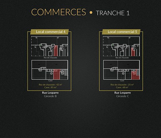 ocaux commerciaux - Chraibi Immobilier