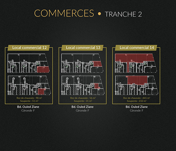 ocaux commerciaux - Chraibi Immobilier